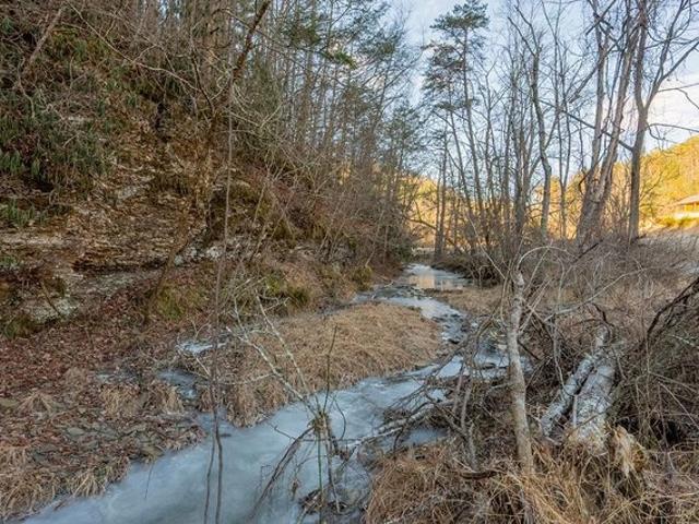 Land for sale in Virginia
