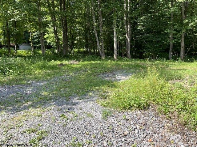 Land for sale in Kingwood, West Virginia