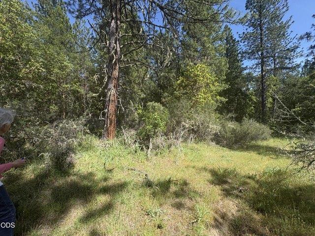 Land for sale in Williams, Josephine County