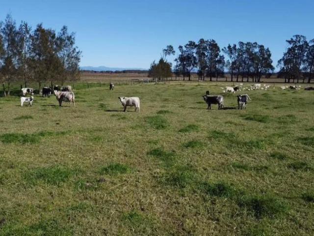 Land for sale in Kinchela, New South Wales