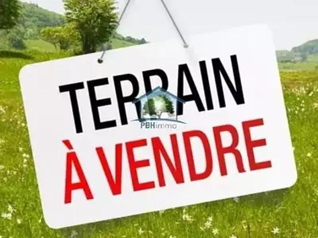 Terrain vente à Kindwiller, Collectivité européenne d'Alsace