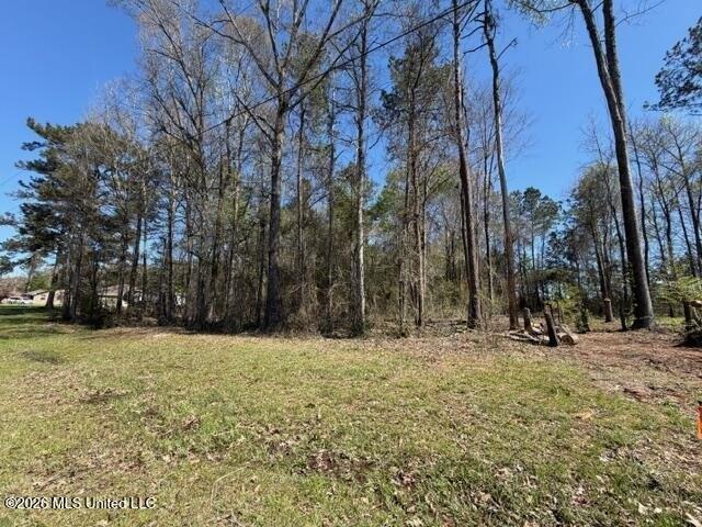 Land for sale in Petal, Mississippi