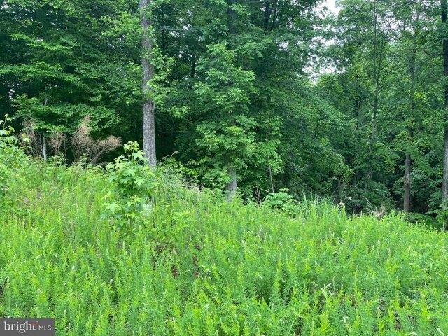 Land for sale in Virginia