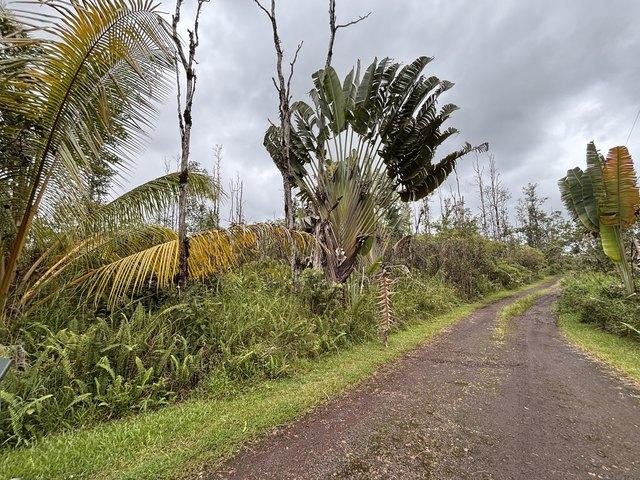 Land for sale in Pahoa, Hawaiʻi County