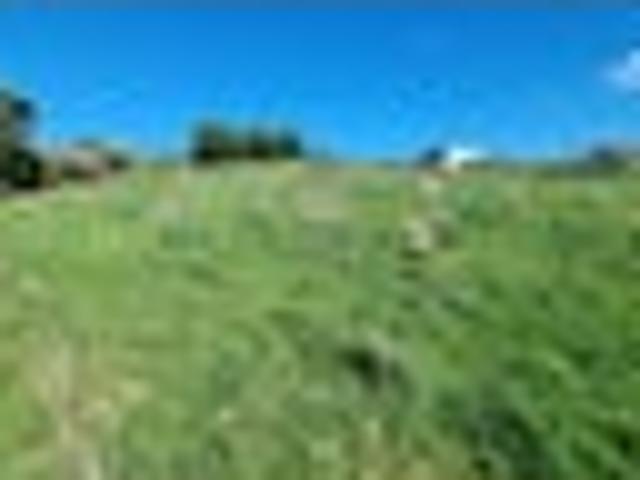 Land for sale in Longwood, Southland