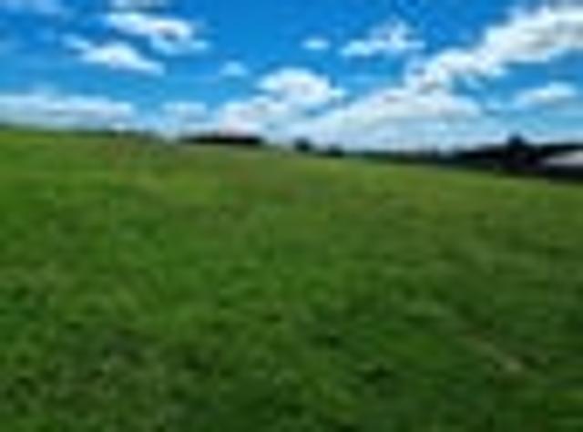 Land for sale in Onewhero, Waikato