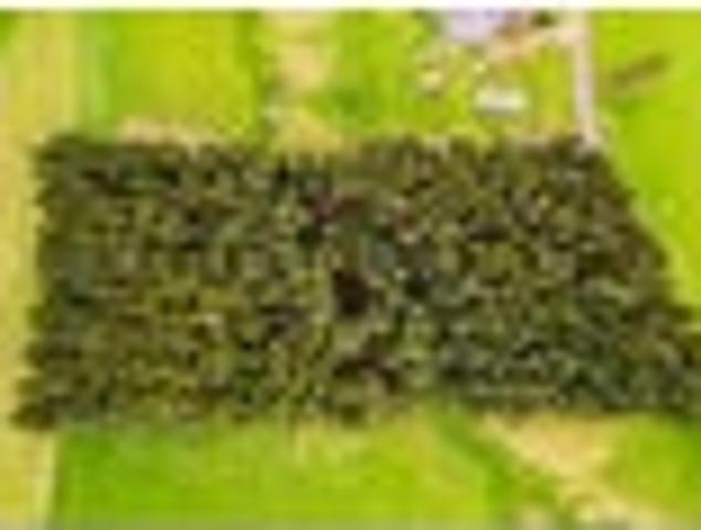 Land for sale in Otakou