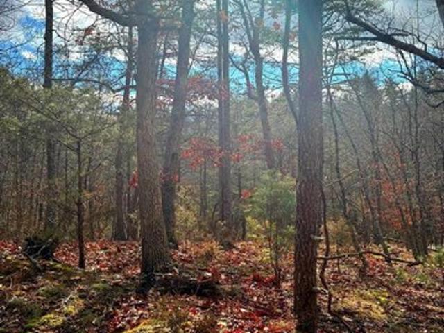 Land for sale in Virginia