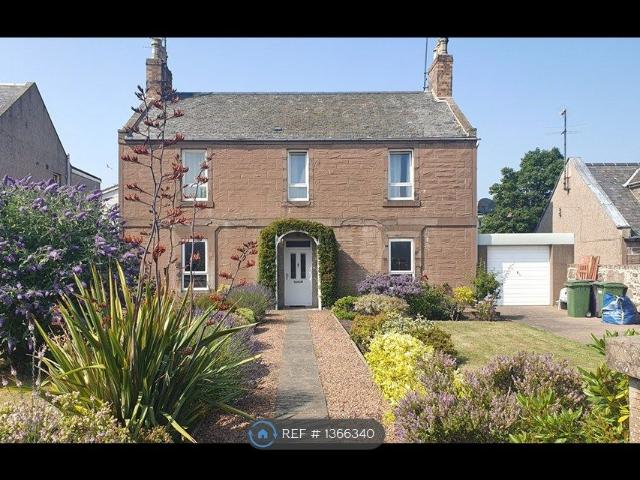Apartment for rent in Ferryden, Scotland