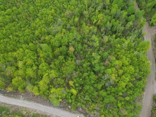 Land for sale in Kingfield, Maine