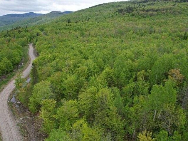 Land for sale in Kingfield, Maine