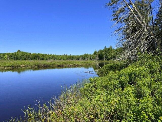 Land for sale in New Vineyard, Maine