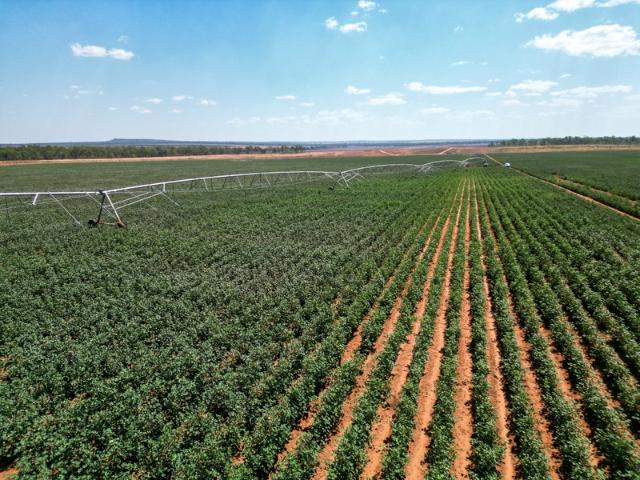 Property for sale in Douglas-daly, Northern Territory