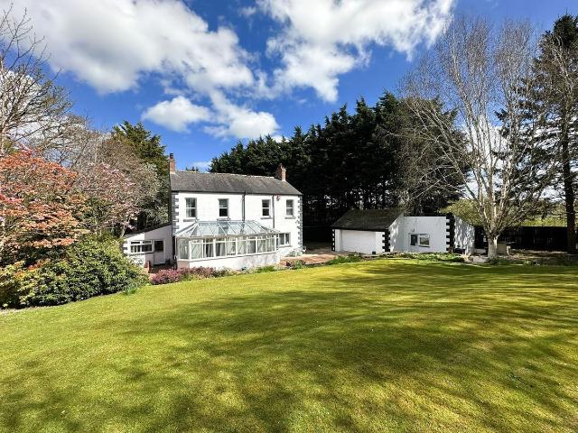 House for rent