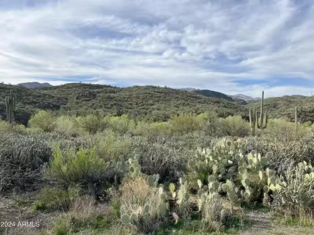 House for rent in Cottonwood