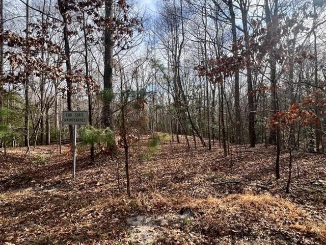 Land for sale in Virginia