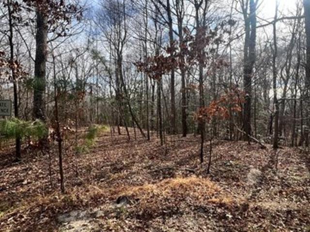 Land for sale in Virginia