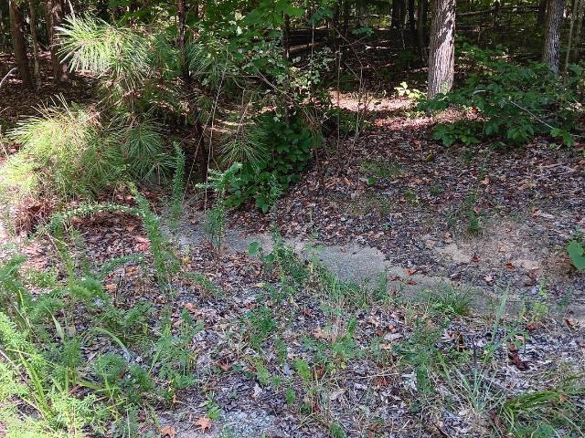Land for sale in Virginia