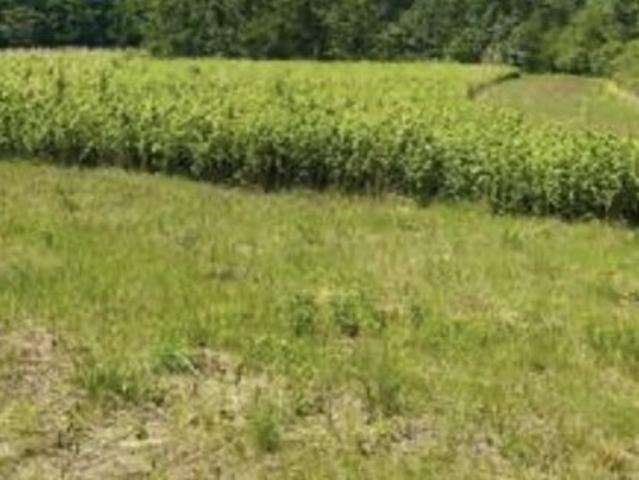 Land for sale in Virginia
