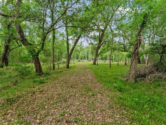 Land for sale in Damon, Texas