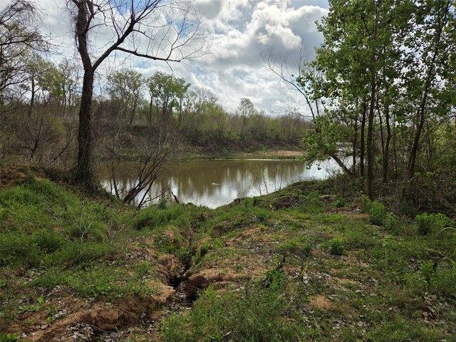 Land for sale in Damon, Texas