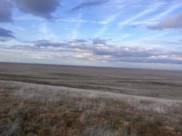 Land for sale in Lost Hills, Kern County