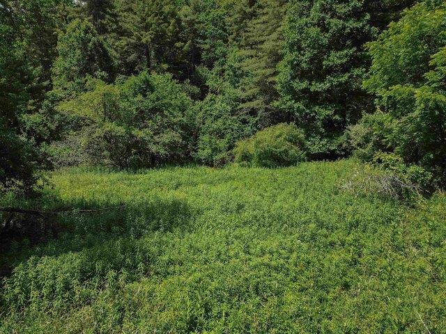 Land for sale in Virginia