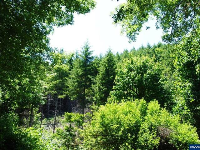 Land for sale in Monmouth, Polk County