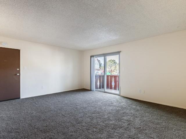 Apartment for rent in Colorado Springs, Colorado