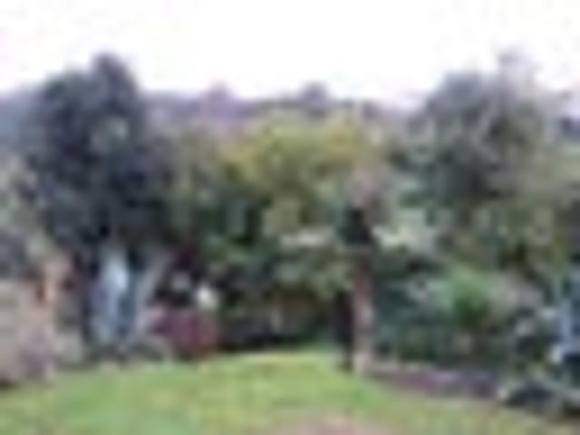 House for rent in Kingsland, Albert-Eden