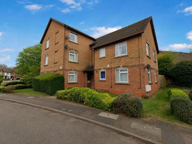 Apartment for rent in Spring Park, Kingsthorpe