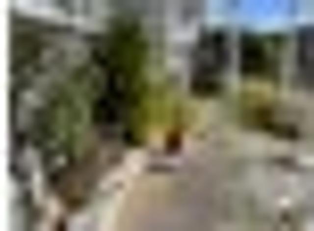 House for rent in Matata, Wellington