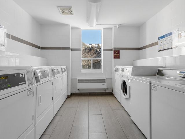 Apartment for rent in Kingston
