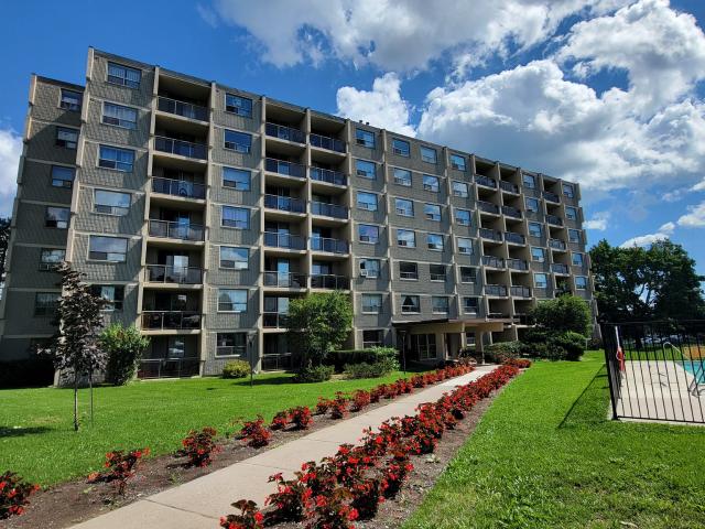 Apartment for rent in Kingston