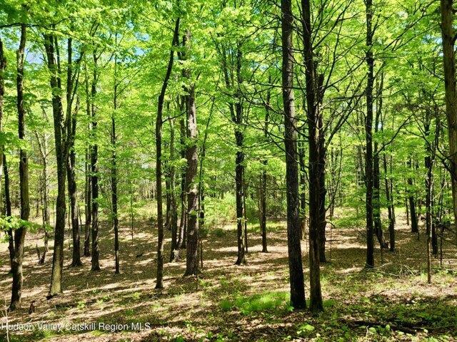 Land for sale in Kingston Land for sale in Kingston