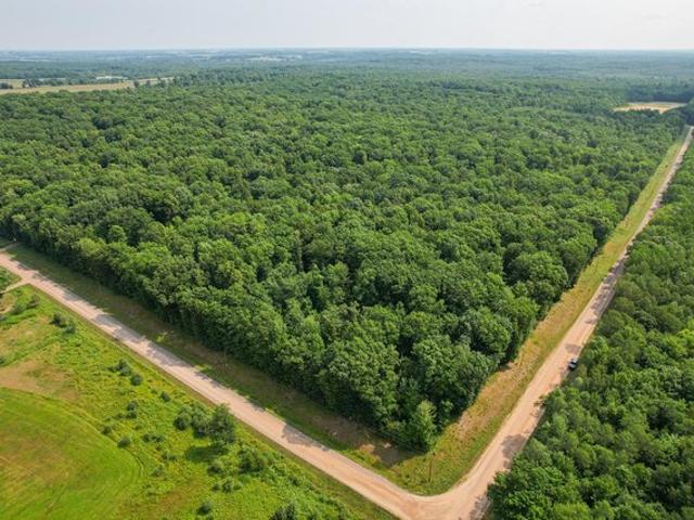 Land for sale in Greenwood, Wisconsin