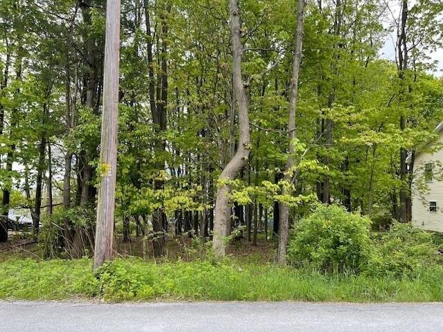 Land for sale in Mount Pocono
