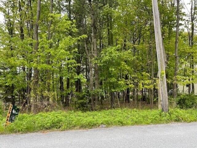 Land for sale in Mount Pocono