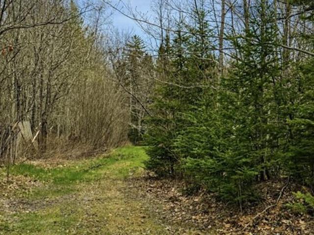 Land for sale in Maine