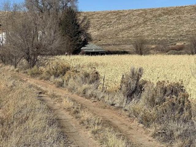 Land for sale in Montrose, Colorado