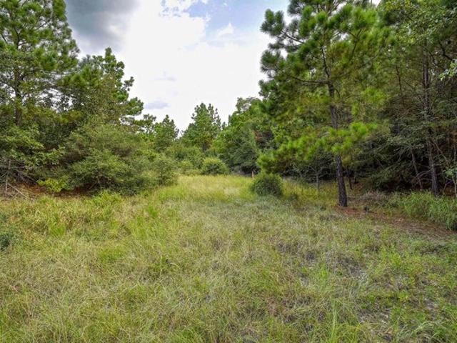 Land for sale in Bastrop, Texas