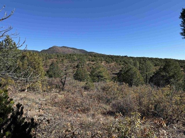 Land for sale in Timberon, New Mexico