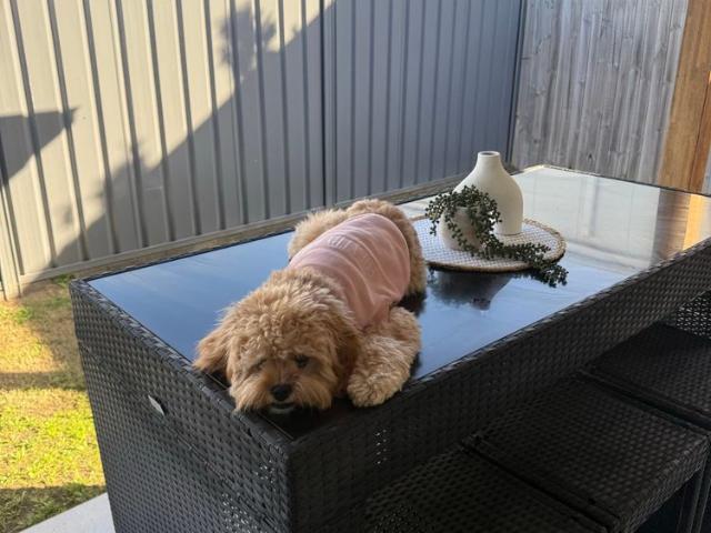 Room for rent in Queensland