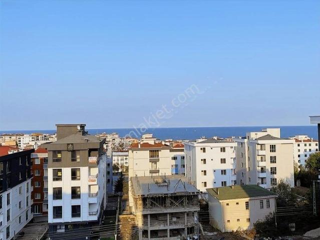 Kurupelit, Atakum içerisinde kiralık mülk
