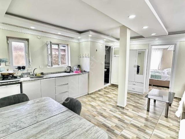 İstanbul Merkez, İstanbul içerisinde kiralık mülk