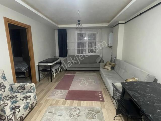 Kurtköy Mahallesi, Pendik içerisinde kiralık mülk