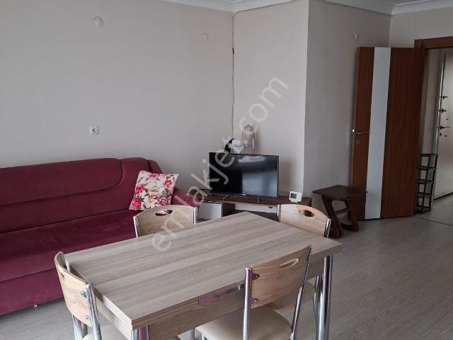 Balikesir içerisinde kiralık mülk
