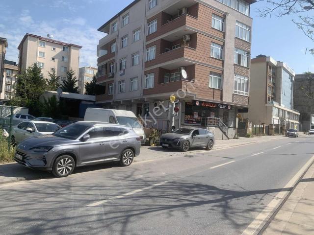 Şeyhli Mahallesi, Pendik içerisinde kiralık mülk