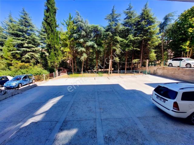 Çankaya, Ankara içerisinde kiralık mülk