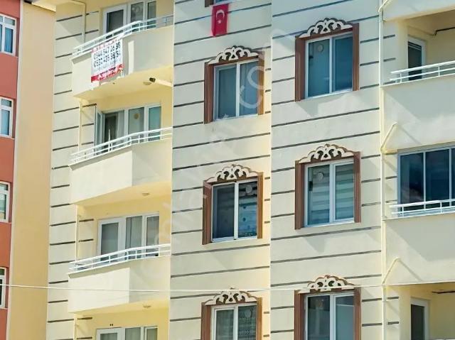 Bilecik Merkez, Bilecik içerisinde kiralık mülk